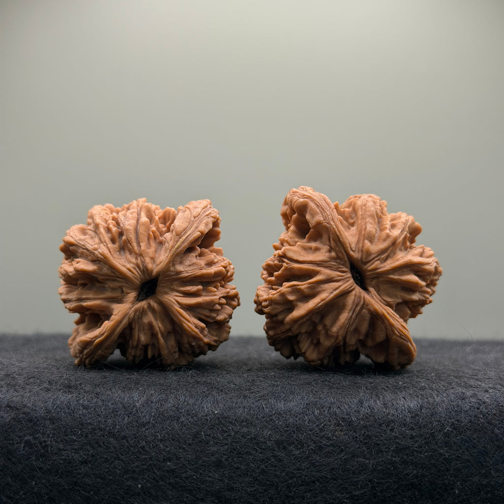 Wheat Ear Tiger Head Wenwan Walnut · 41mm · Natural · Entry Ritual
