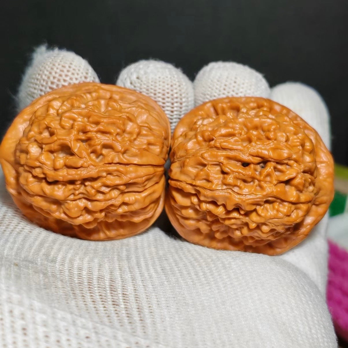 Lotus Tiger Head Wenwan Walnut · 37mm · Natural · Sourcing Pick