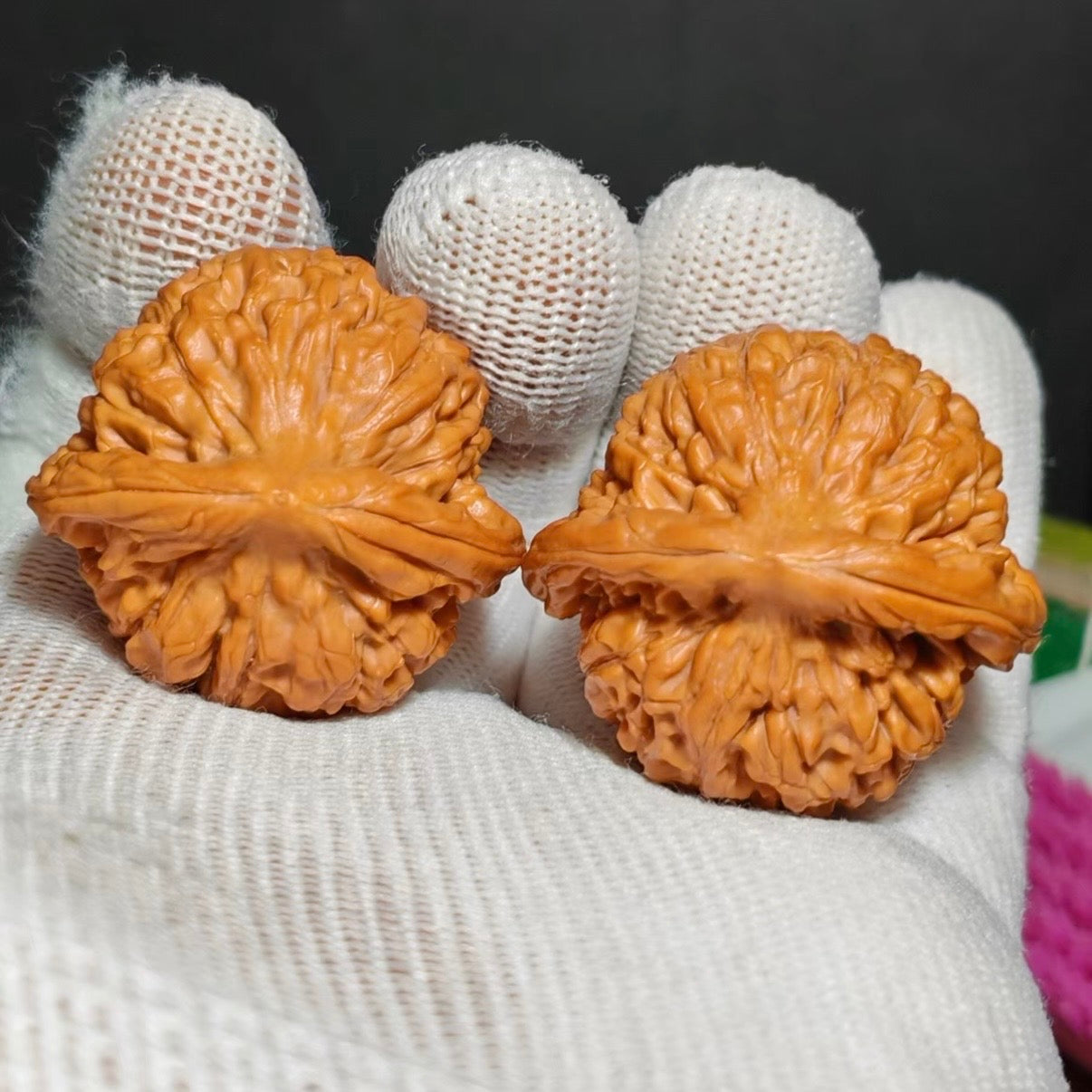 Lotus Tiger Head Wenwan Walnut · 37mm · Natural · Sourcing Pick