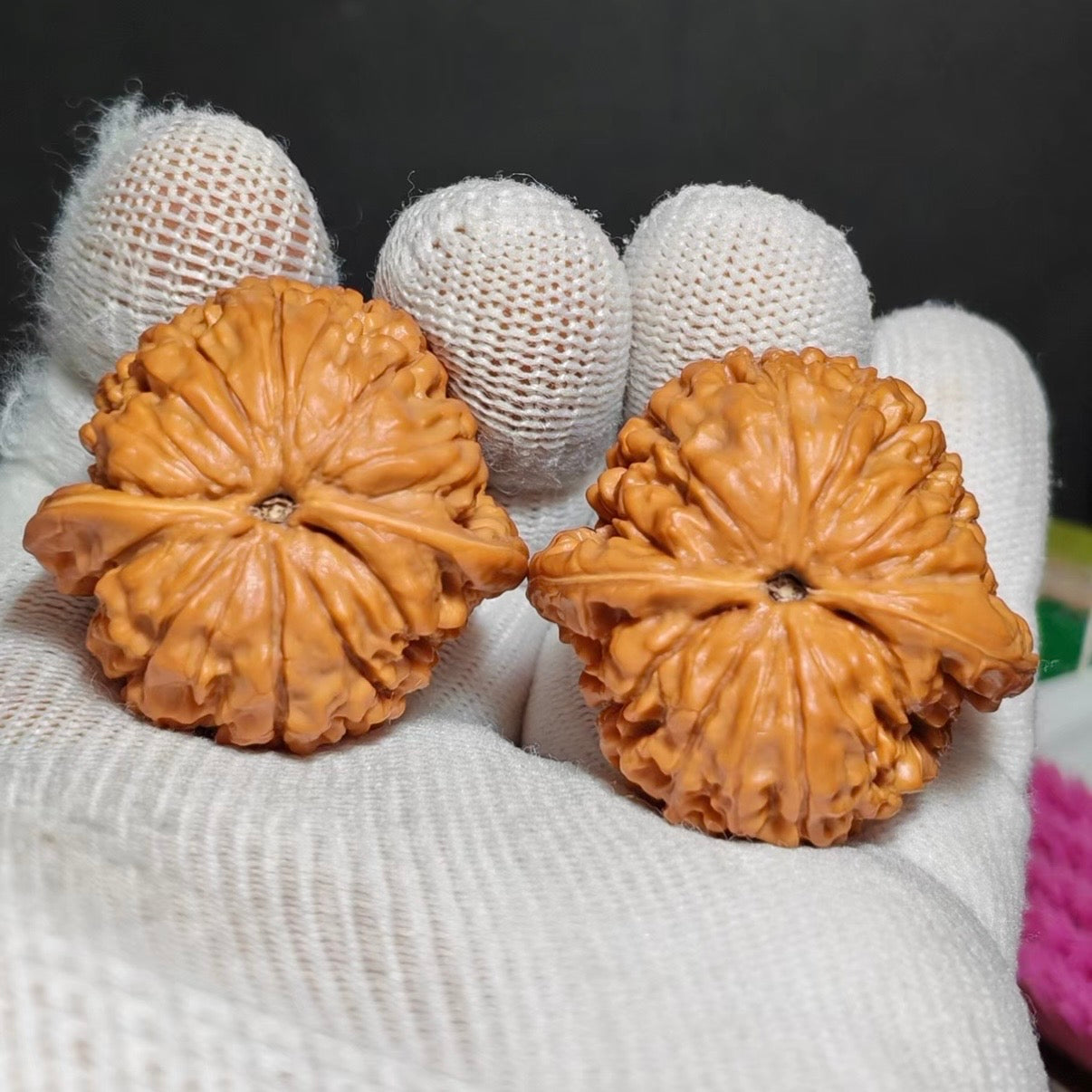 Lotus Tiger Head Wenwan Walnut · 37mm · Natural · Sourcing Pick