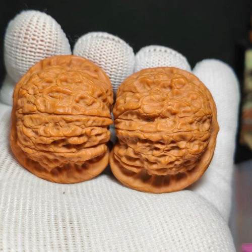 Blood Kirin Wenwan Walnut · 38mm · Natural · Sourcing Pick