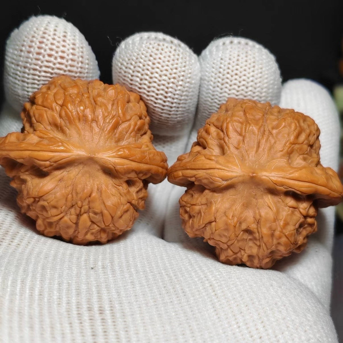 Blood Kirin Wenwan Walnut · 38mm · Natural · Sourcing Pick