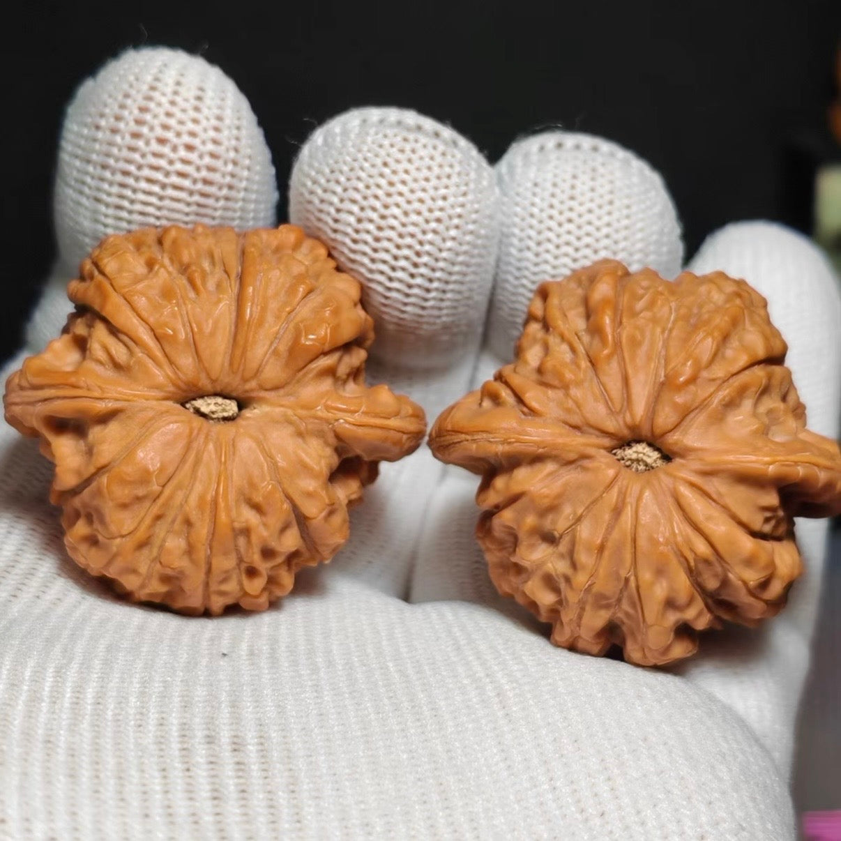 Blood Kirin Wenwan Walnut · 38mm · Natural · Sourcing Pick