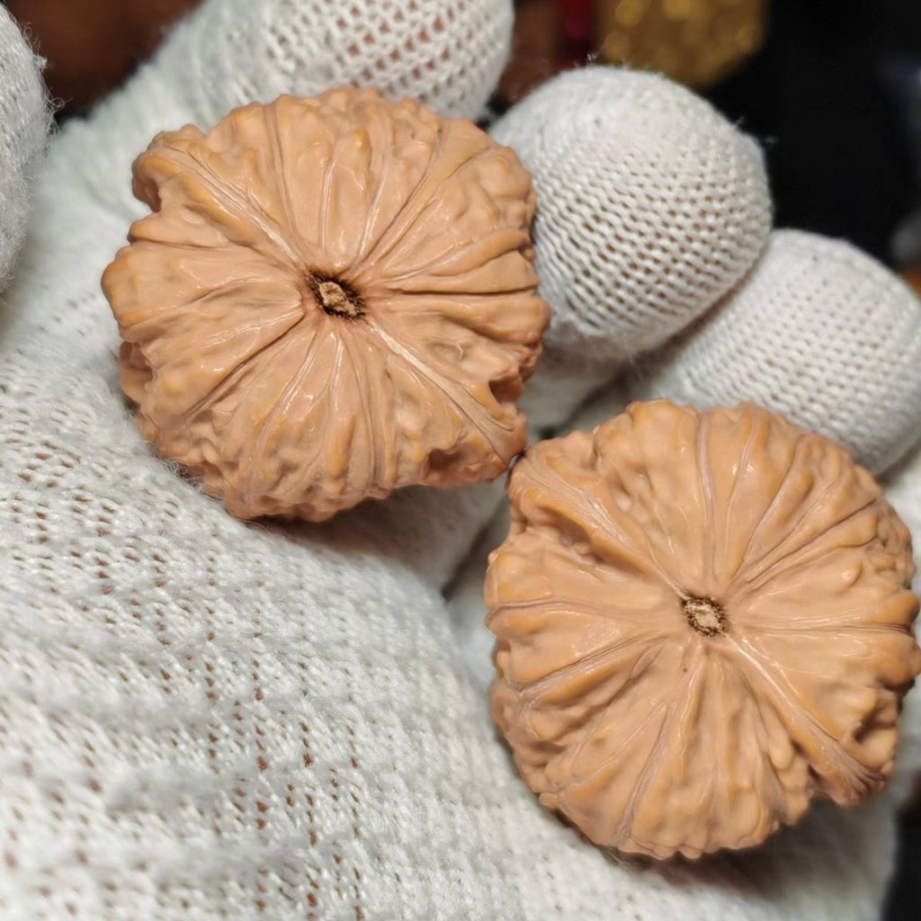 Flat Pan Wenwan Walnut · 35mm · Natural · Sourcing Pick