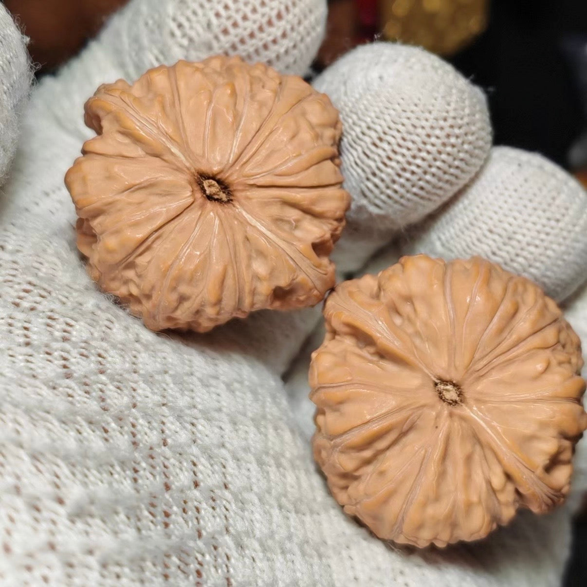 Flat Pan Wenwan Walnut · 35mm · Natural · Sourcing Pick