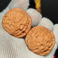 Mini Logan Wenwan Walnut · 35mm · Natural · Sourcing Pick