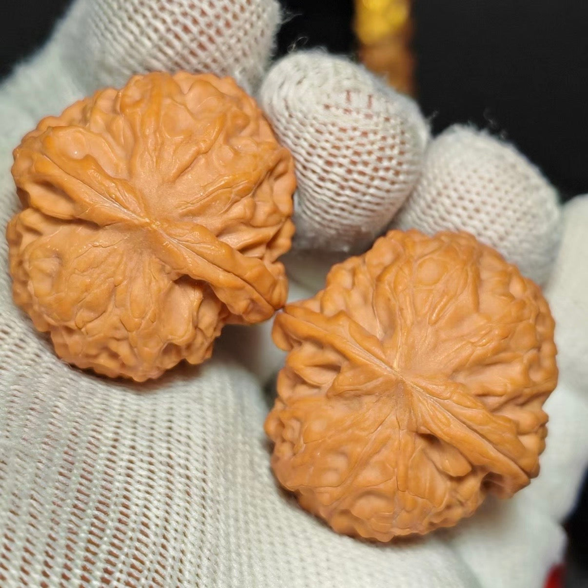 Mini Logan Wenwan Walnut · 35mm · Natural · Sourcing Pick