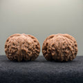 War Drum Wenwan Walnut · 41mm · Natural · Premium Ritual