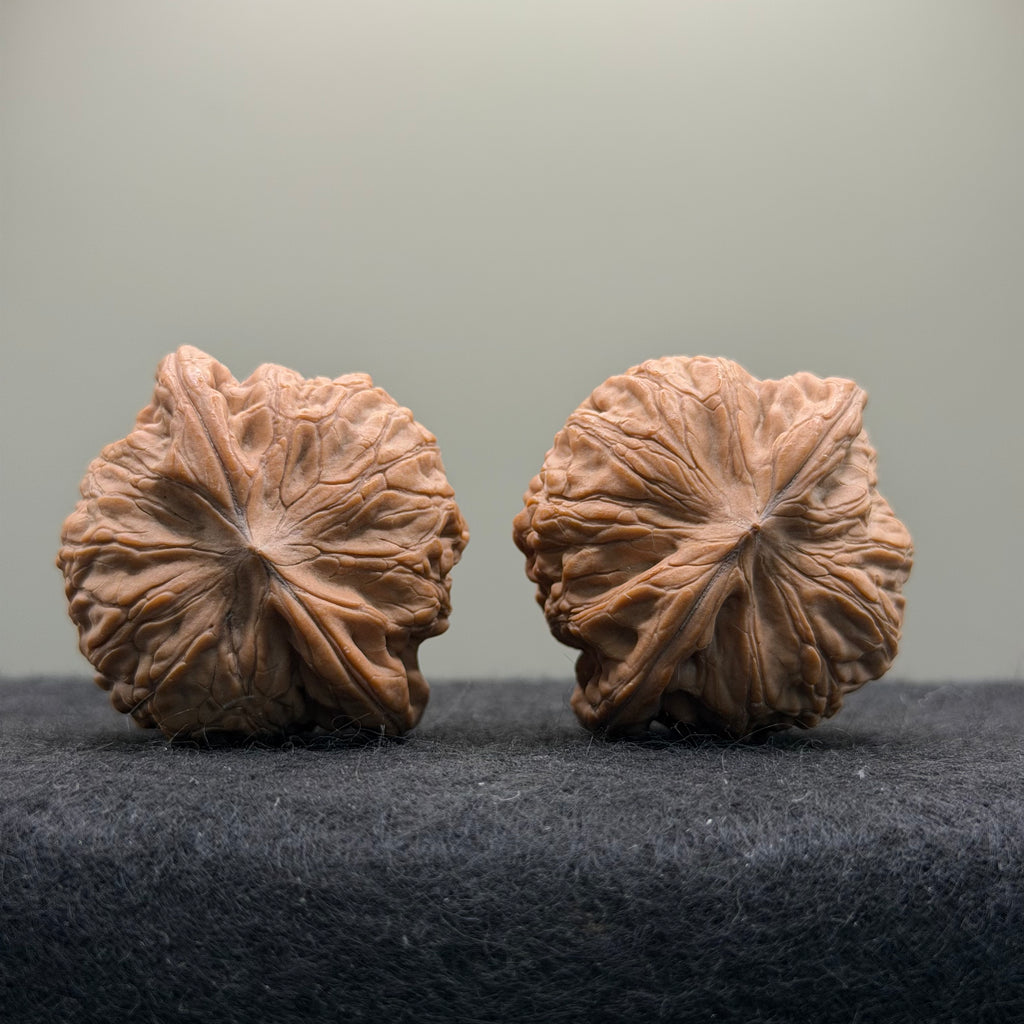 War Drum Wenwan Walnut · 41mm · Natural · Premium Ritual
