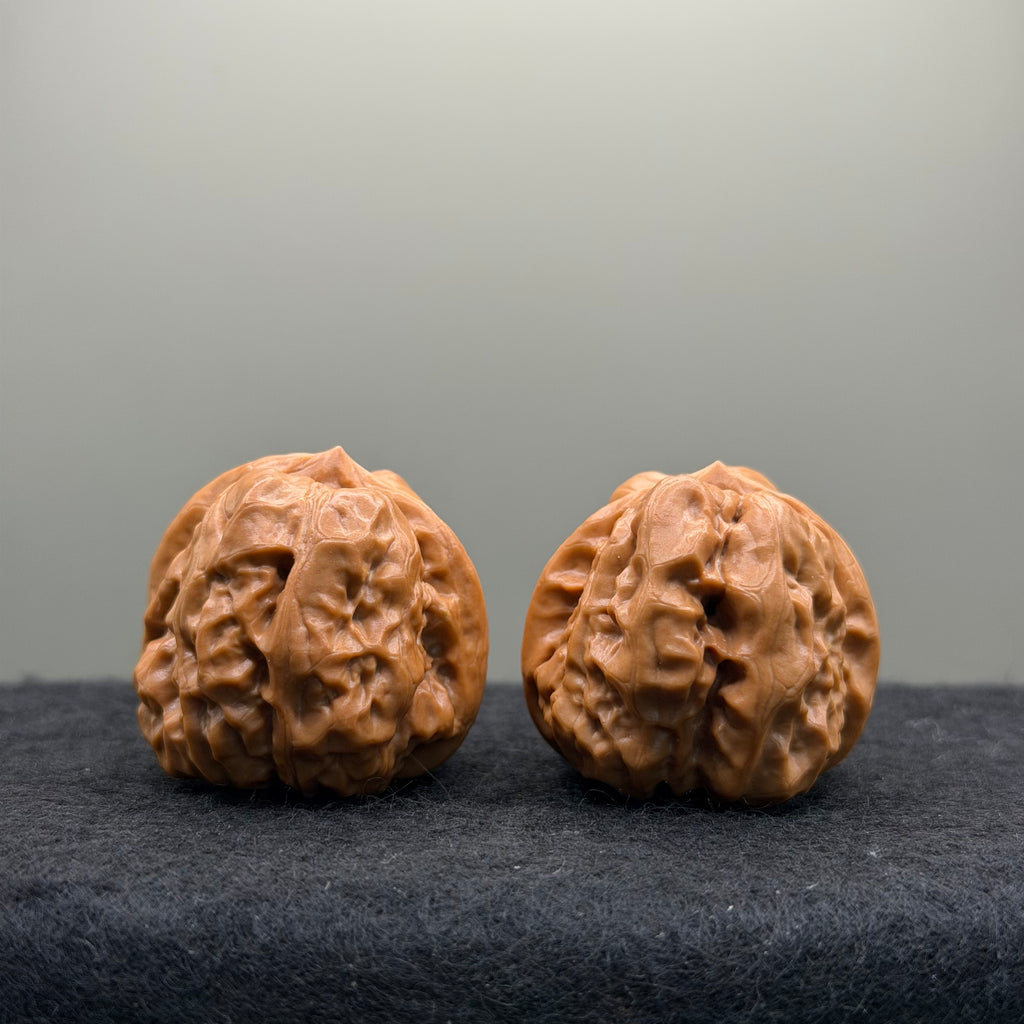 Toad Head Wenwan Walnut · 35mm · Natural · Select Ritual