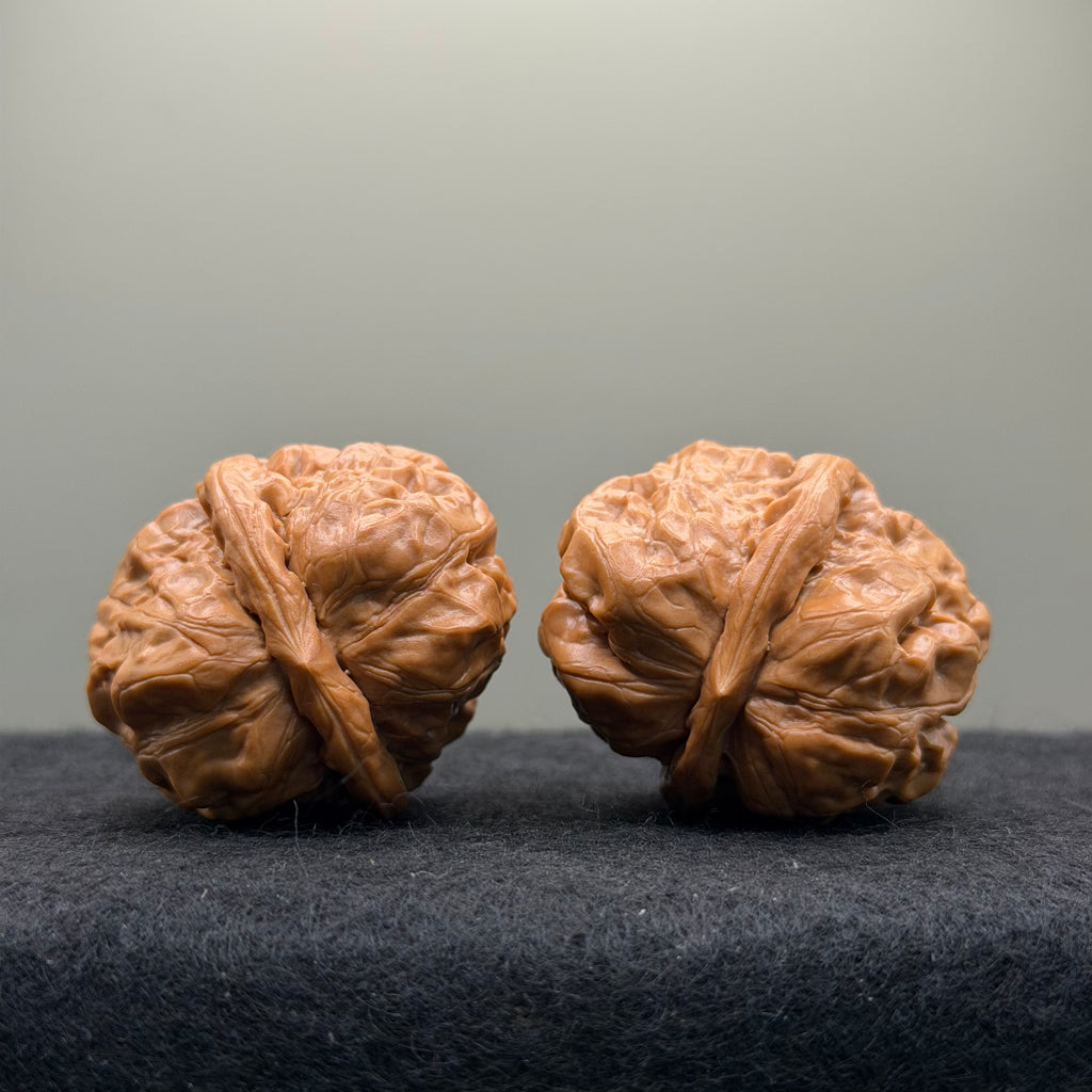 Toad Head Wenwan Walnut · 35mm · Natural · Select Ritual