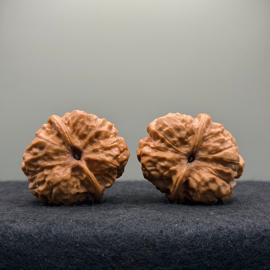 Toad Head Wenwan Walnut · 35mm · Natural · Select Ritual
