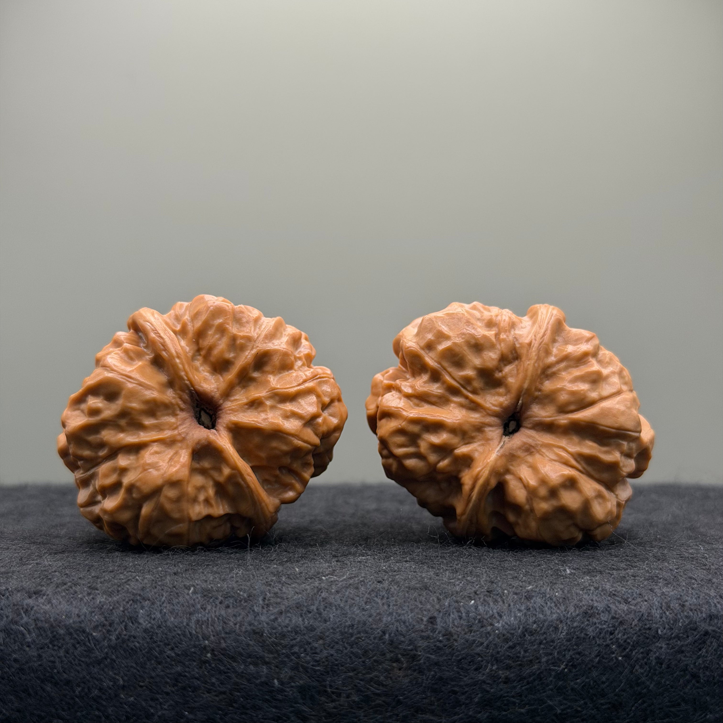 Toad Head Wenwan Walnut · 35mm · Natural · Select Ritual