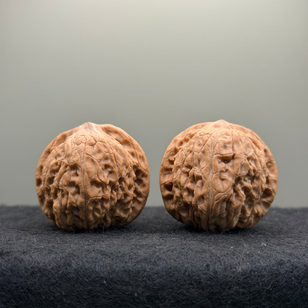Night Pearl Wenwan Walnut · 37mm · Natural · Premium Ritual