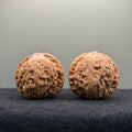 Night Pearl Wenwan Walnut · 37mm · Natural · Premium Ritual