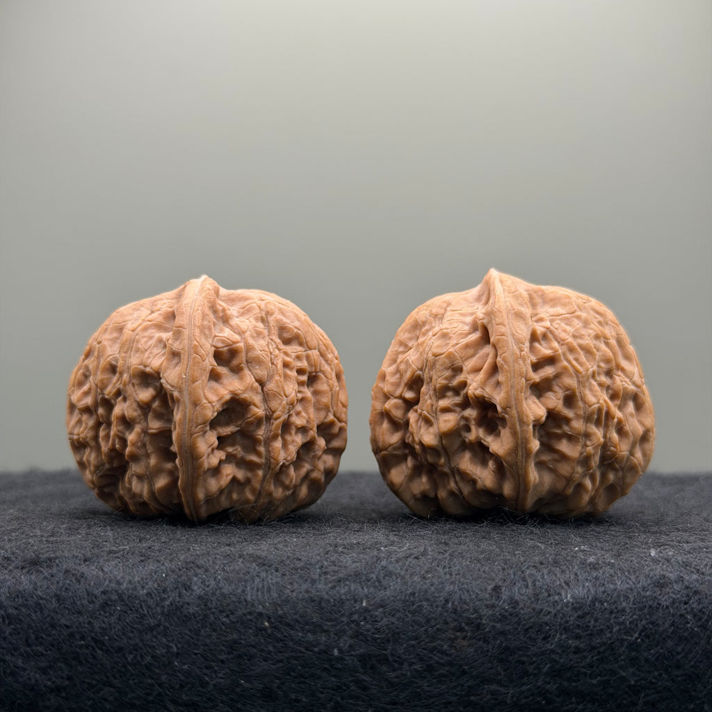 Night Pearl Wenwan Walnut · 37mm · Natural · Premium Ritual