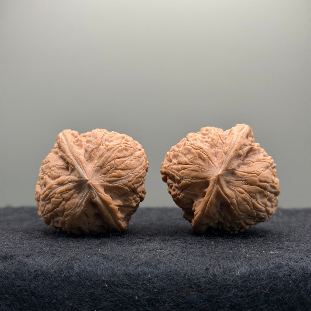 Night Pearl Wenwan Walnut · 37mm · Natural · Premium Ritual