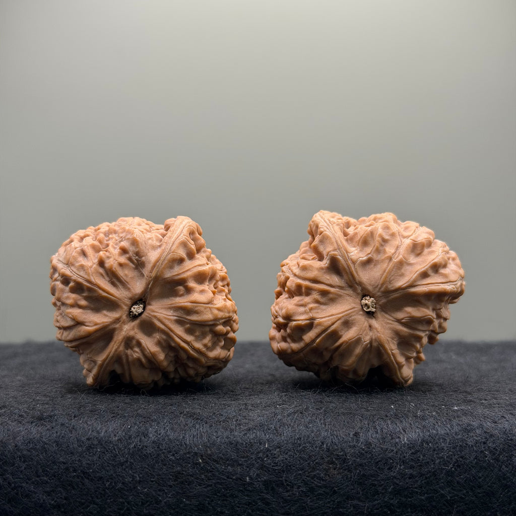 Night Pearl Wenwan Walnut · 37mm · Natural · Premium Ritual