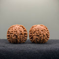 Blood Kirin Wenwan Walnut  · 41mm · Entry Ritual