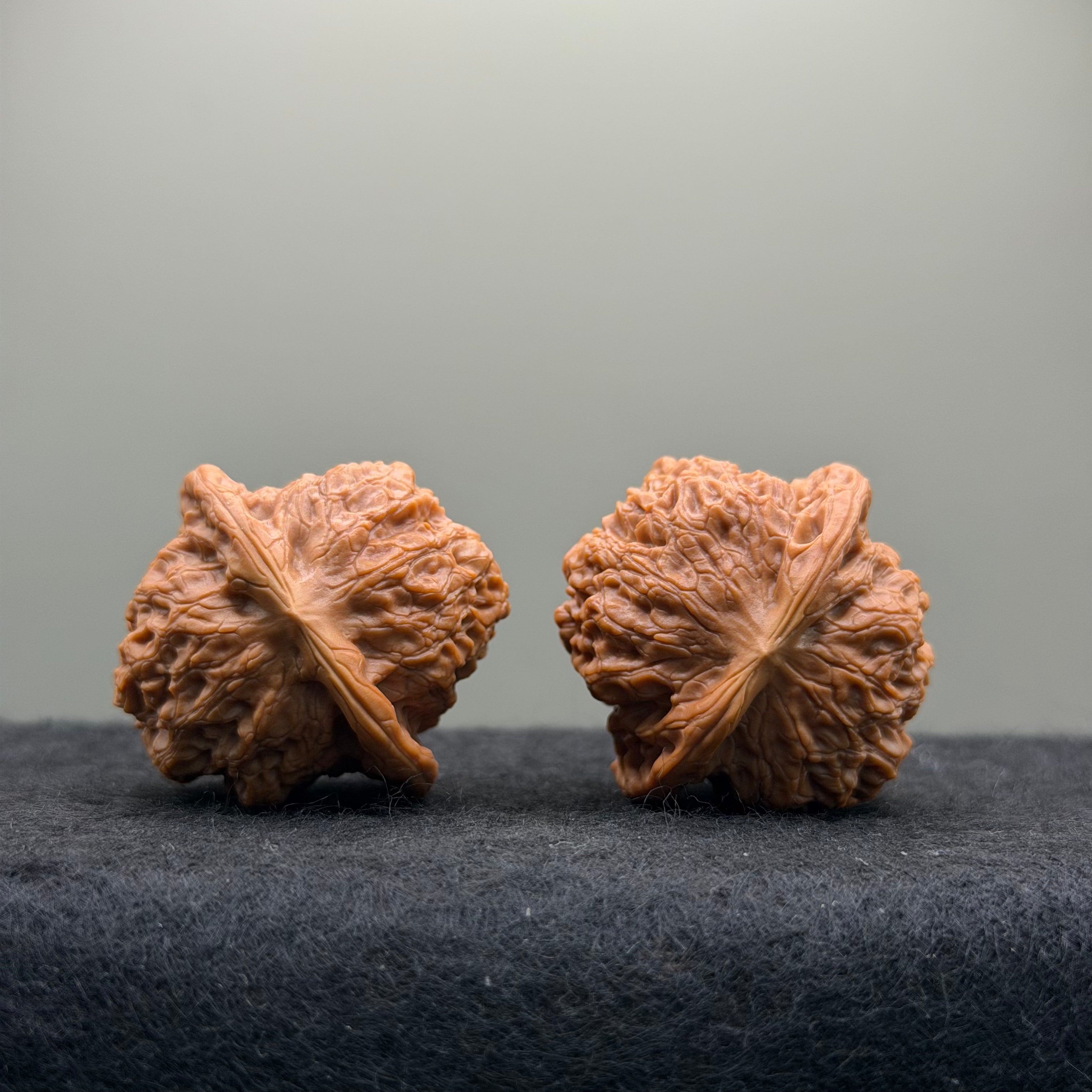 Blood Kirin Wenwan Walnut  · 41mm · Entry Ritual