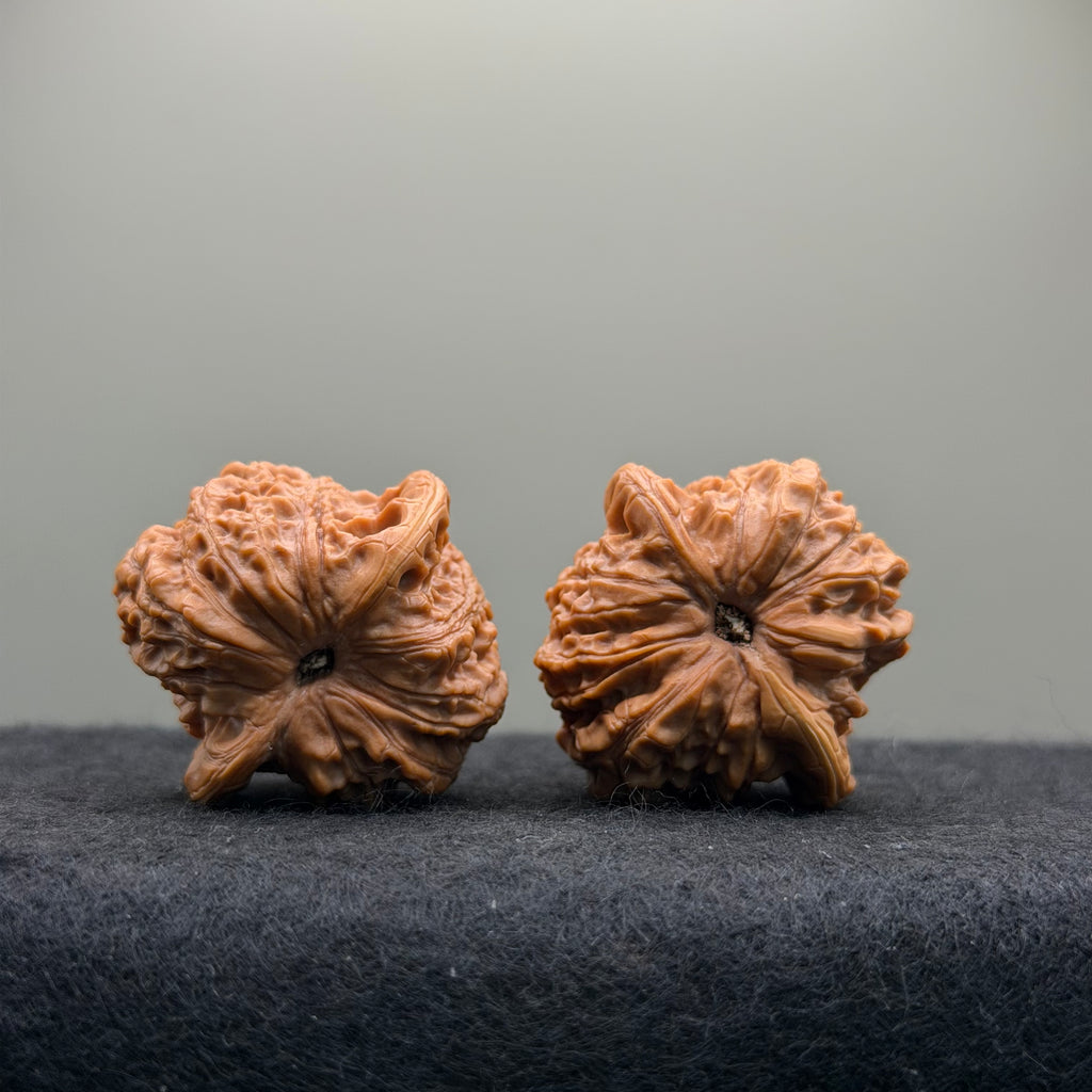 Blood Kirin Wenwan Walnut  · 41mm · Entry Ritual
