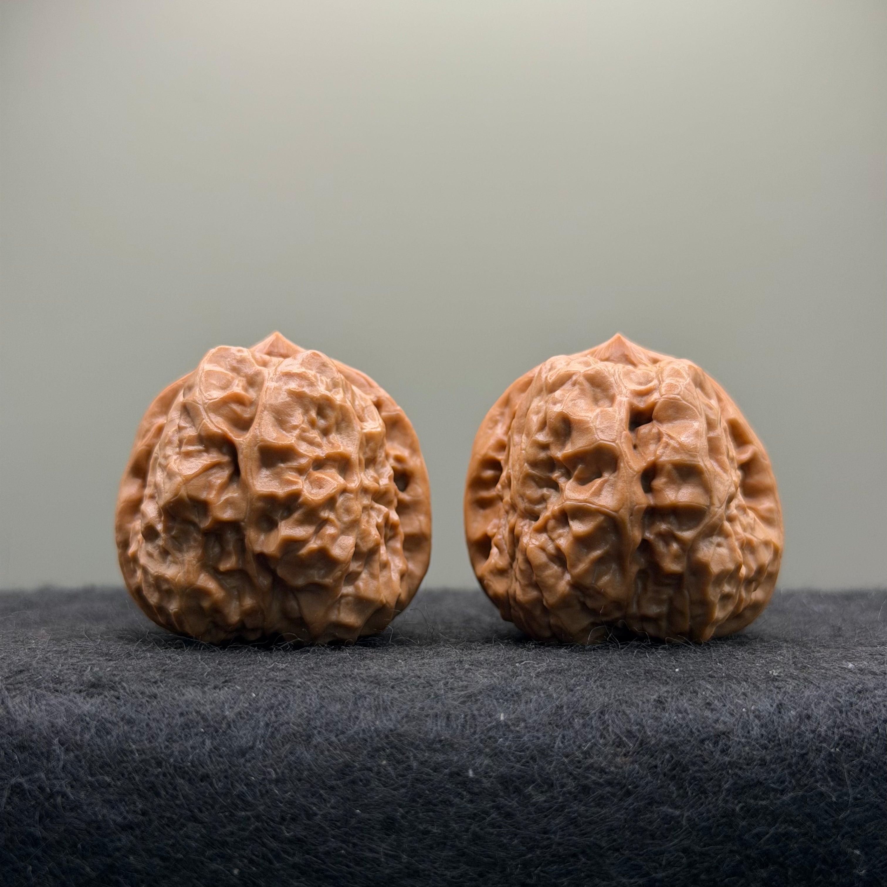 Toad Head Wenwan Walnut · 35mm · Natural · Select Ritual