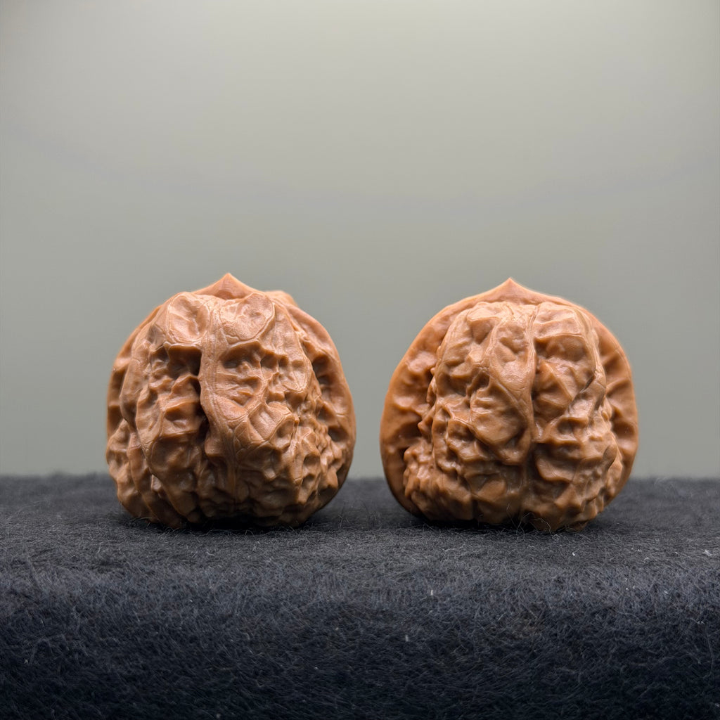 Toad Head Wenwan Walnut · 35mm · Natural · Select Ritual