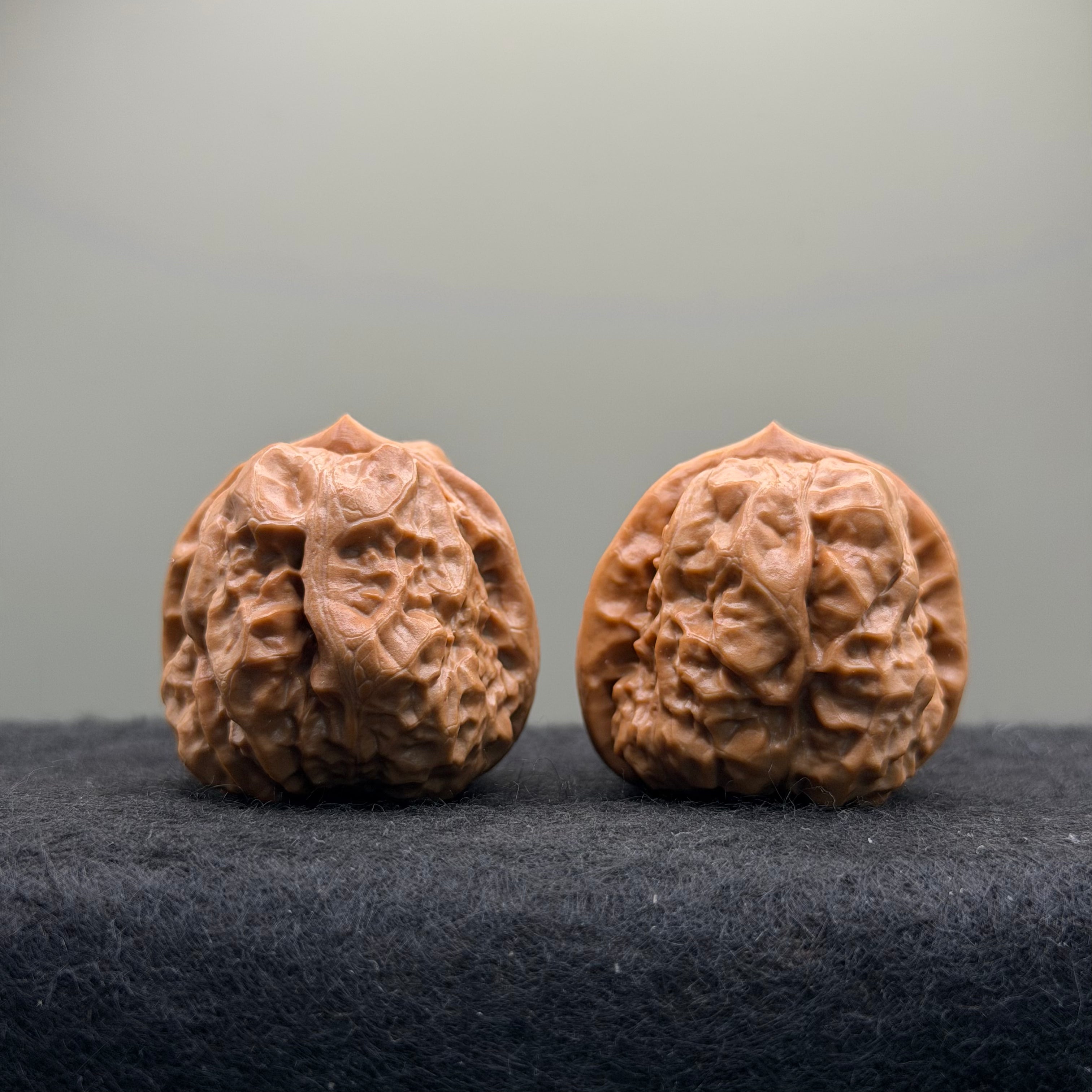Toad Head Wenwan Walnut · 35mm · Natural · Select Ritual