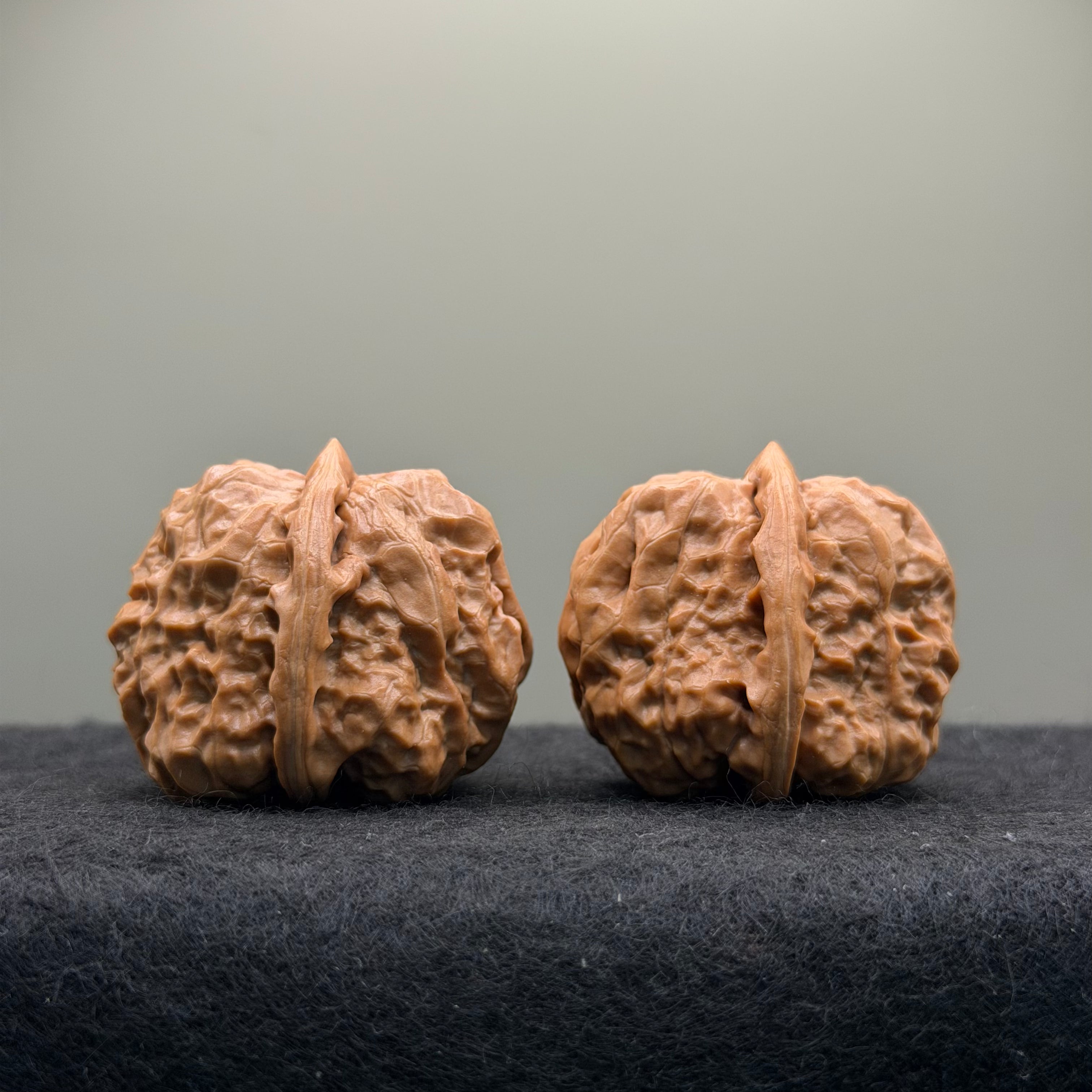 Toad Head Wenwan Walnut · 35mm · Natural · Select Ritual