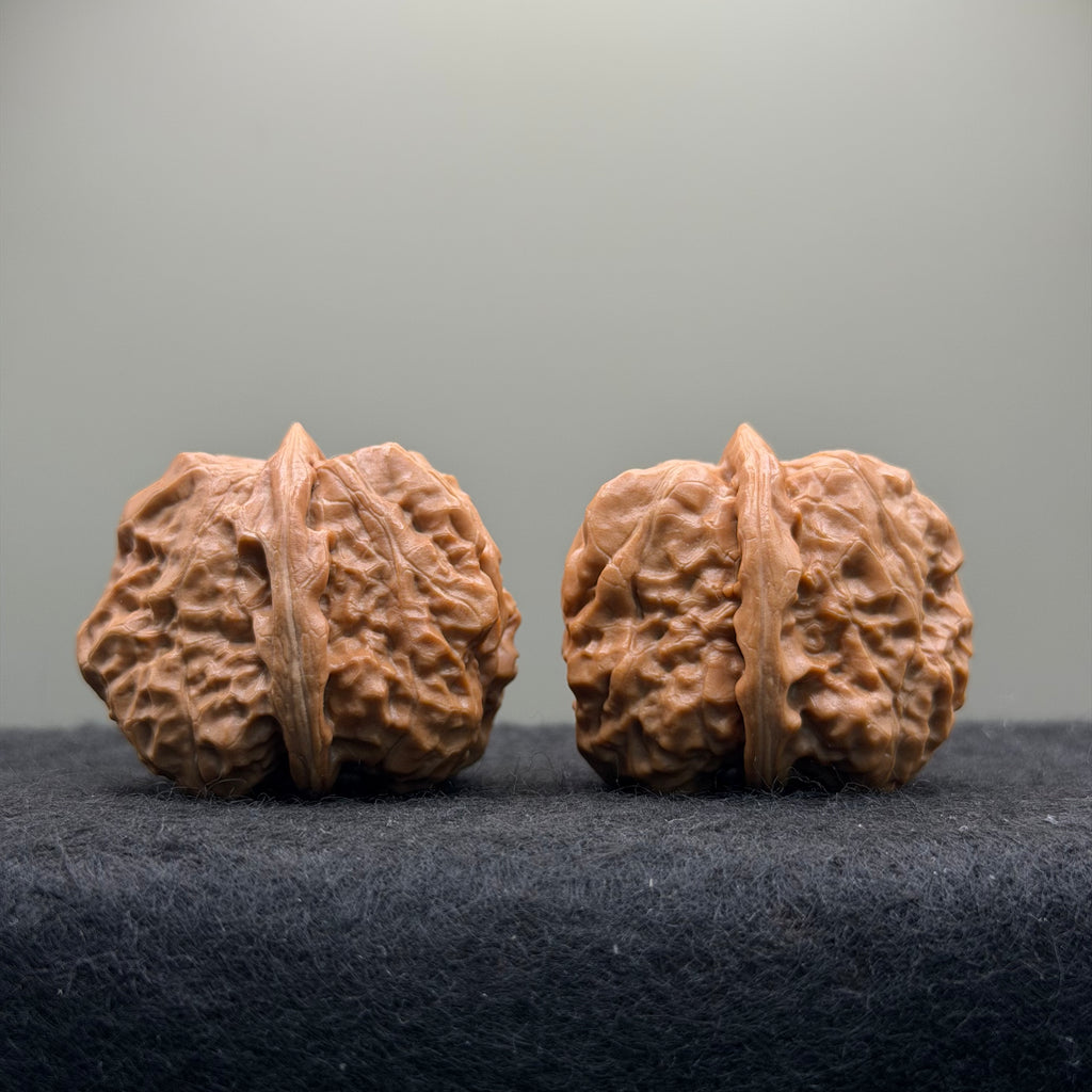 Toad Head Wenwan Walnut · 35mm · Natural · Select Ritual
