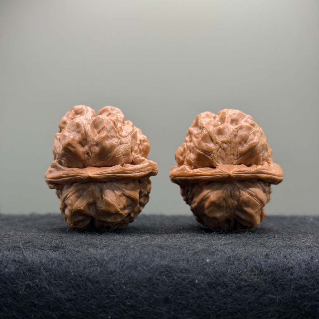 Toad Head Wenwan Walnut · 35mm · Natural · Select Ritual