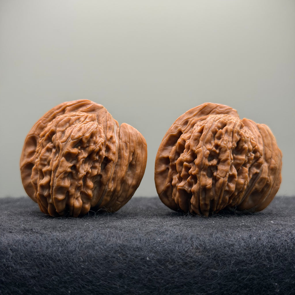 Ox Horn Wenwan Walnut · 42mm · Natural · Collector Ritual