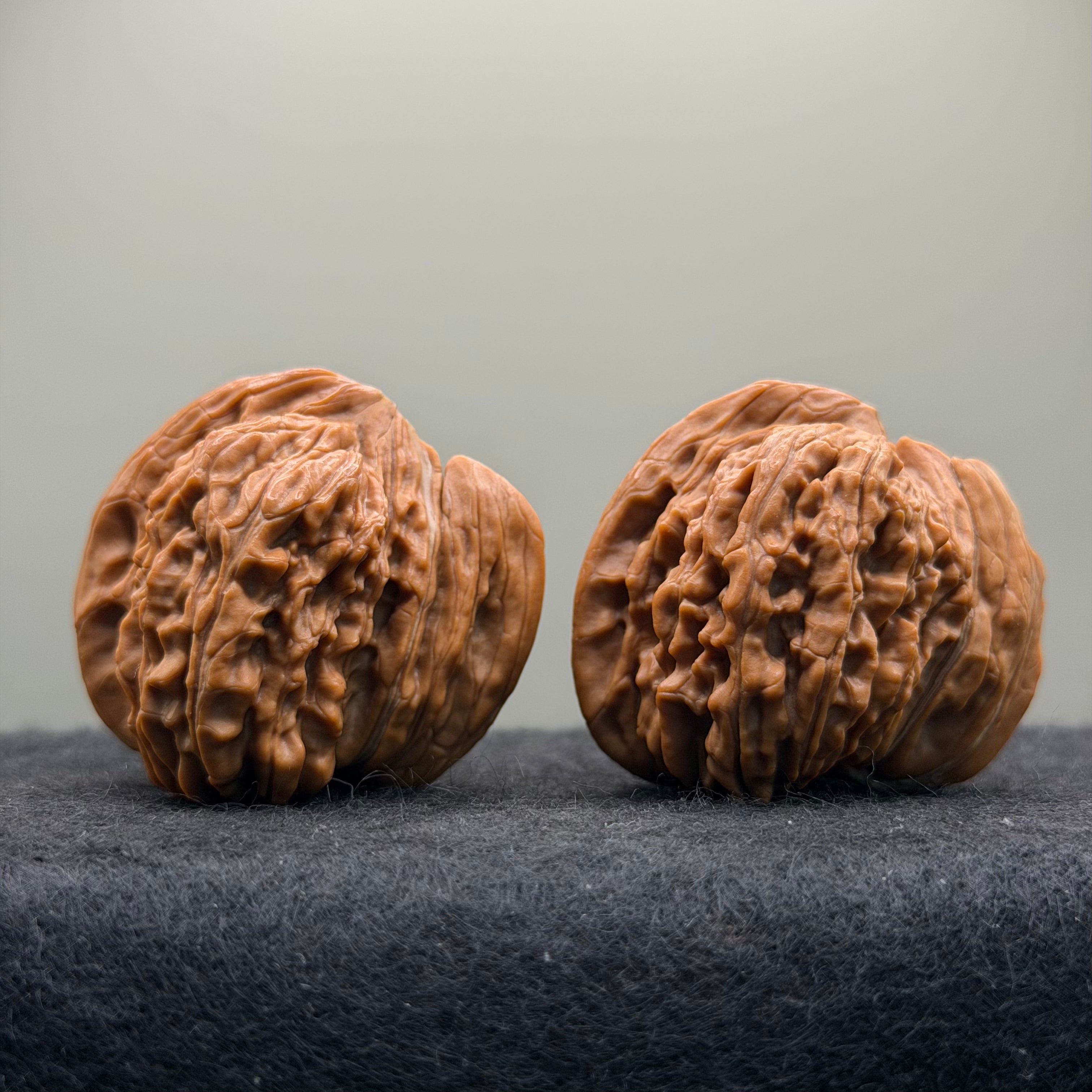 Ox Horn Wenwan Walnut · 42mm · Natural · Collector Ritual