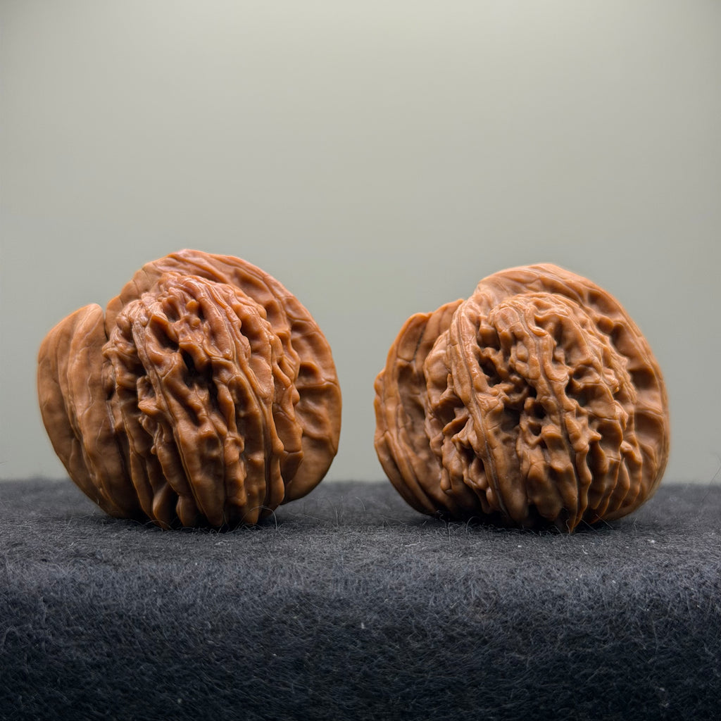 Ox Horn Wenwan Walnut · 42mm · Natural · Collector Ritual