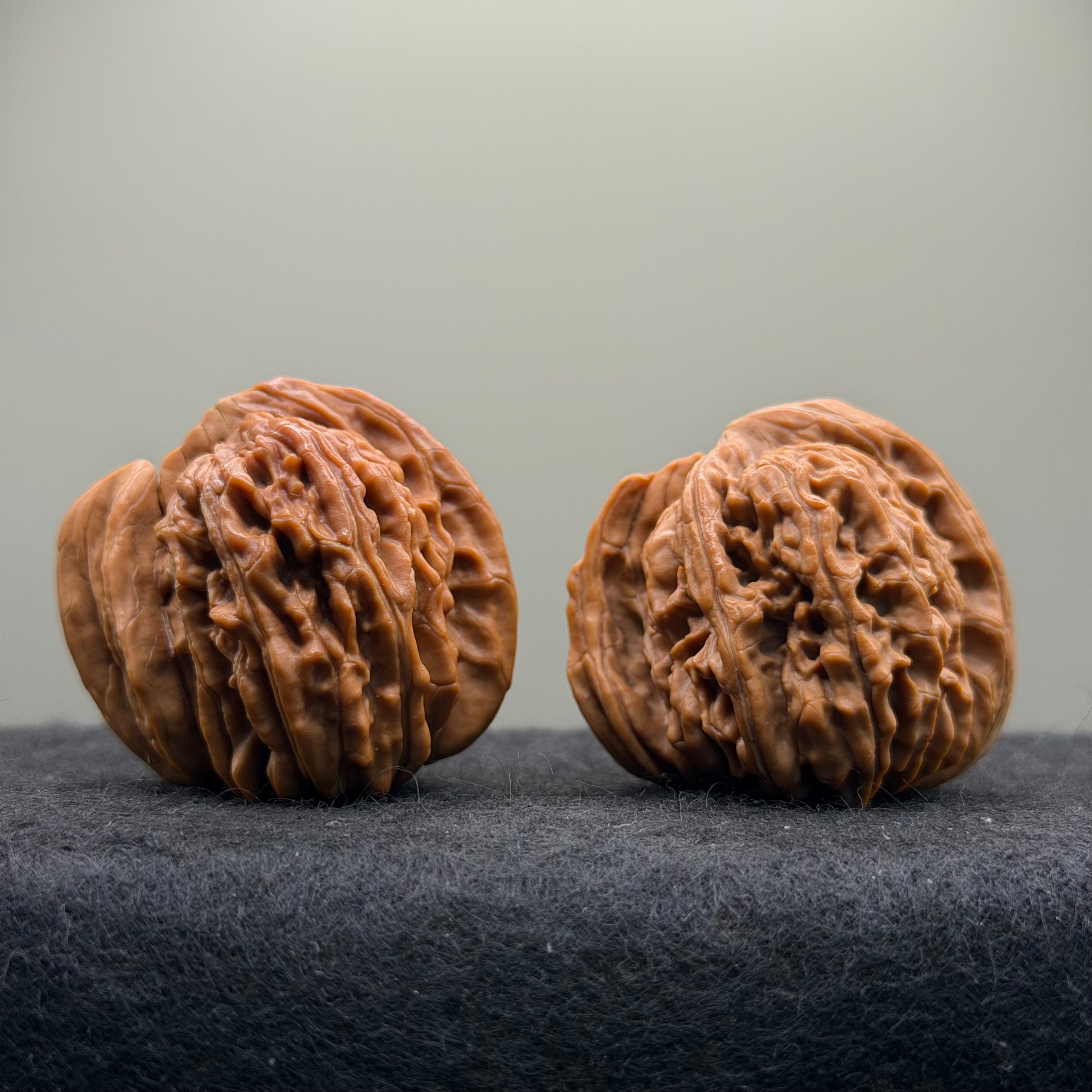 Ox Horn Wenwan Walnut · 42mm · Natural · Collector Ritual