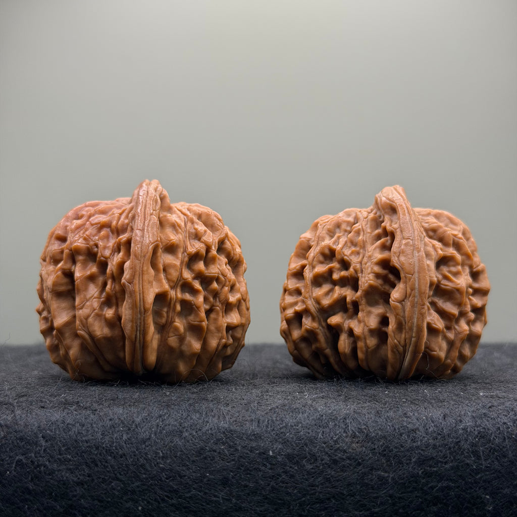 Ox Horn Wenwan Walnut · 42mm · Natural · Collector Ritual