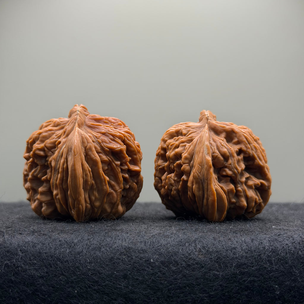 Ox Horn Wenwan Walnut · 42mm · Natural · Collector Ritual