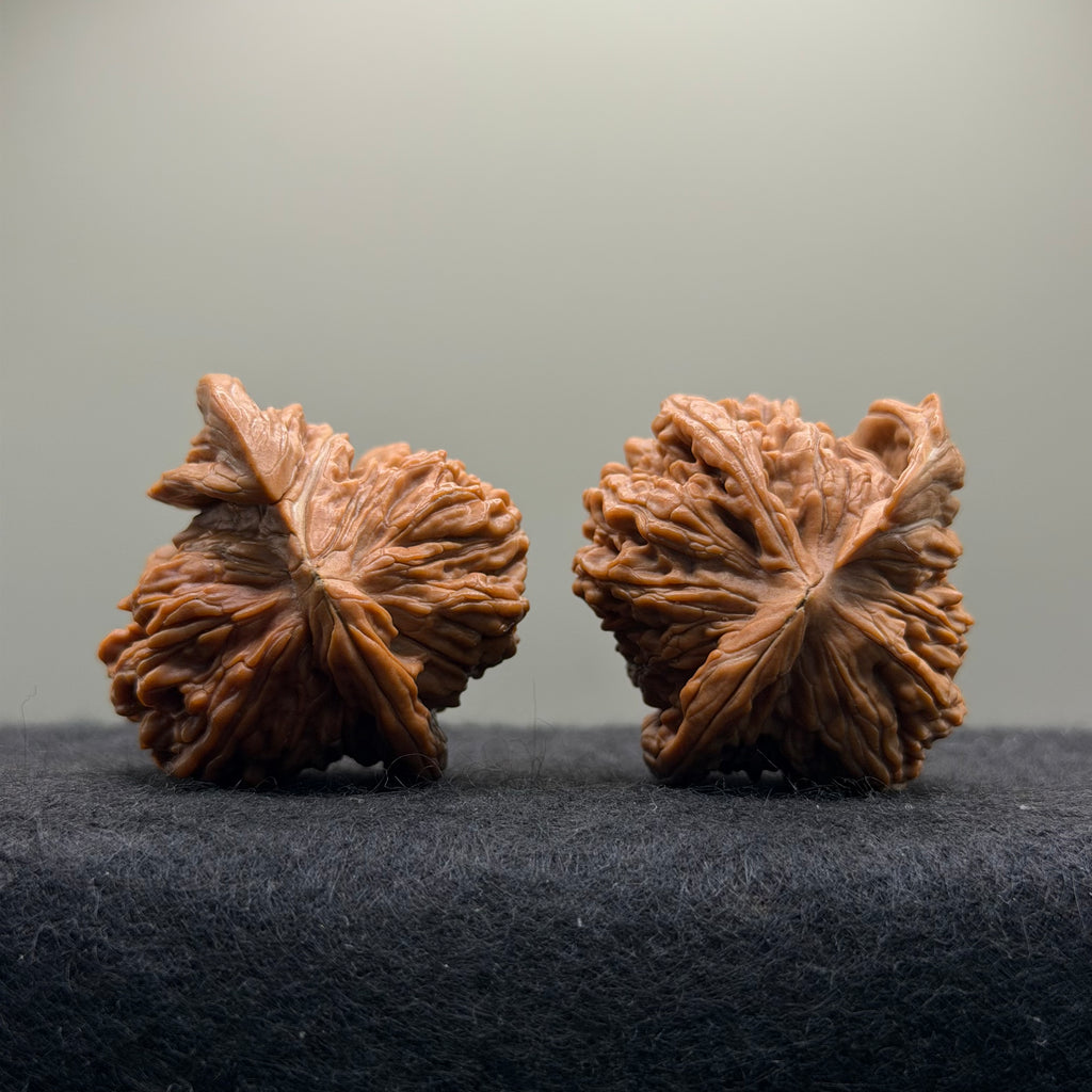 Ox Horn Wenwan Walnut · 42mm · Natural · Collector Ritual
