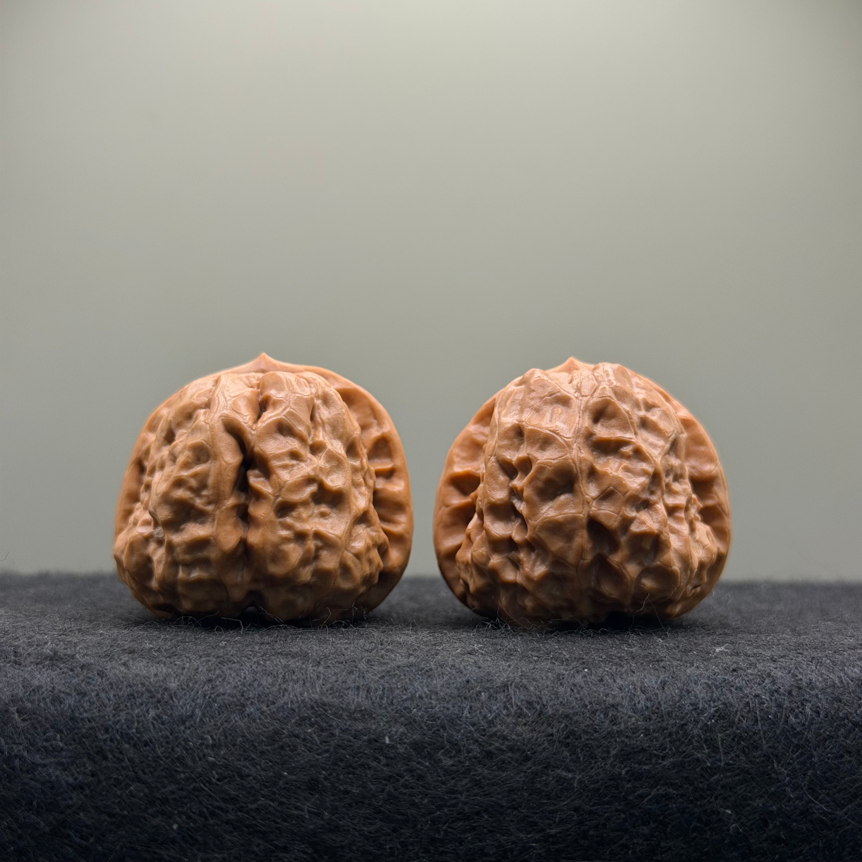 Toad Head Wenwan Walnut · 36mm · Natural · Select Ritual
