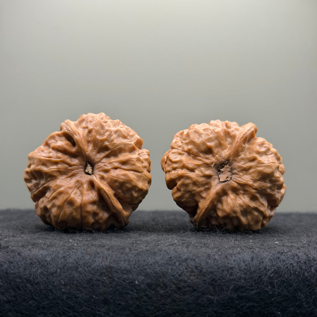 Toad Head Wenwan Walnut · 36mm · Natural · Select Ritual