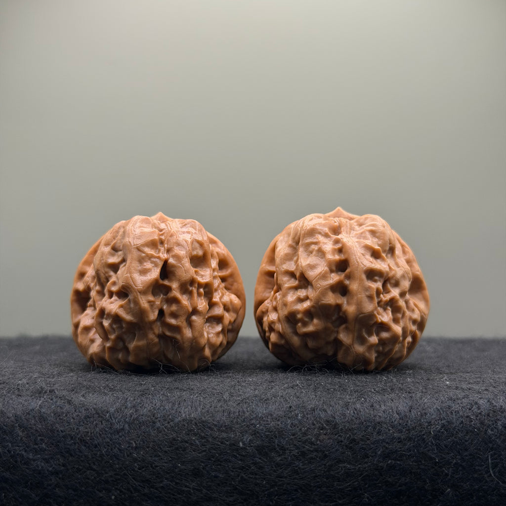 Toad Head Wenwan Walnut · 35mm · Natural · Select Ritual
