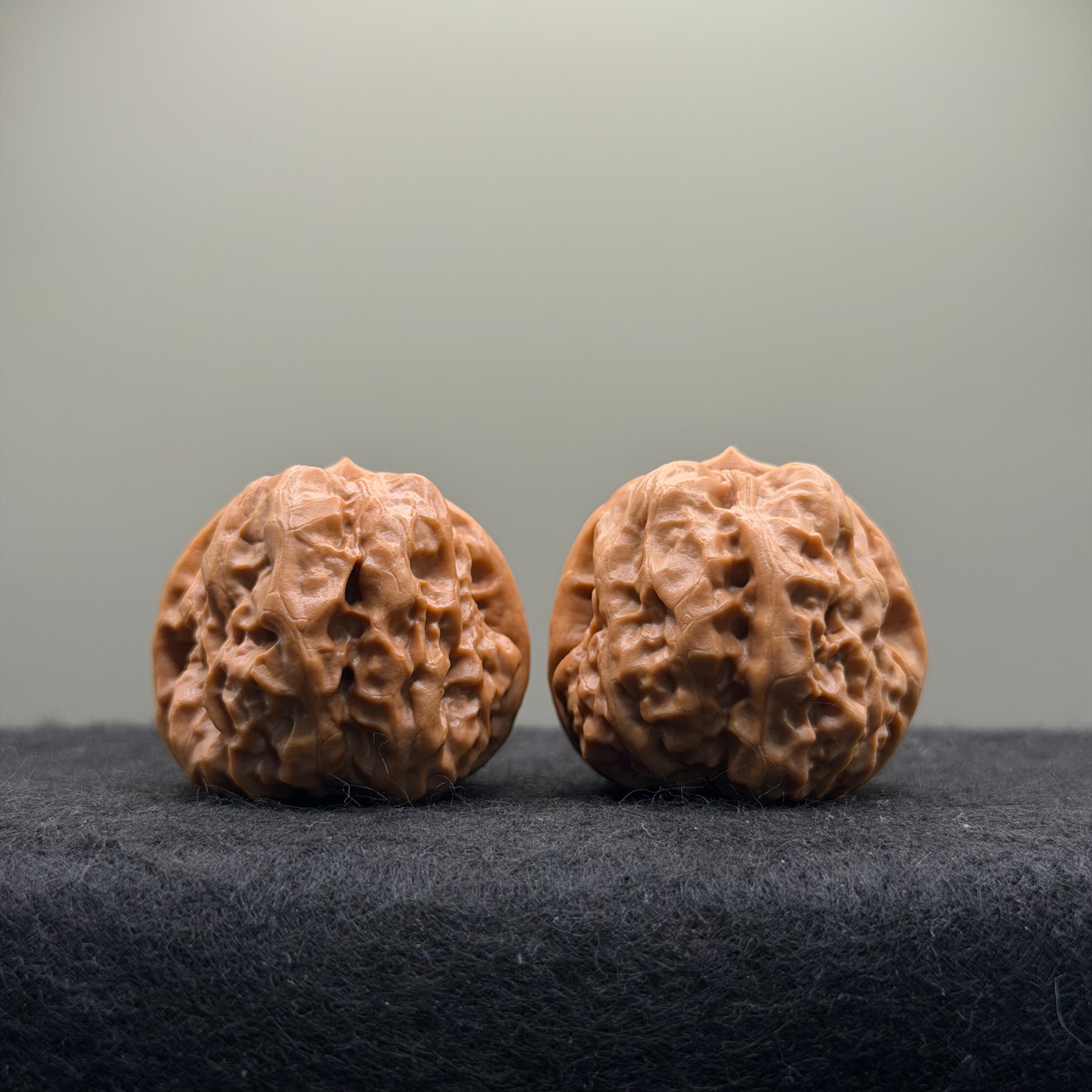 Toad Head Wenwan Walnut · 35mm · Natural · Select Ritual