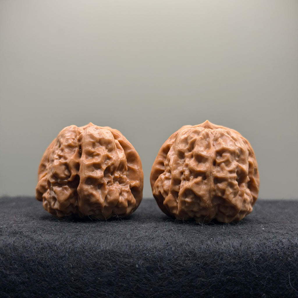Toad Head Wenwan Walnut · 35mm · Natural · Select Ritual