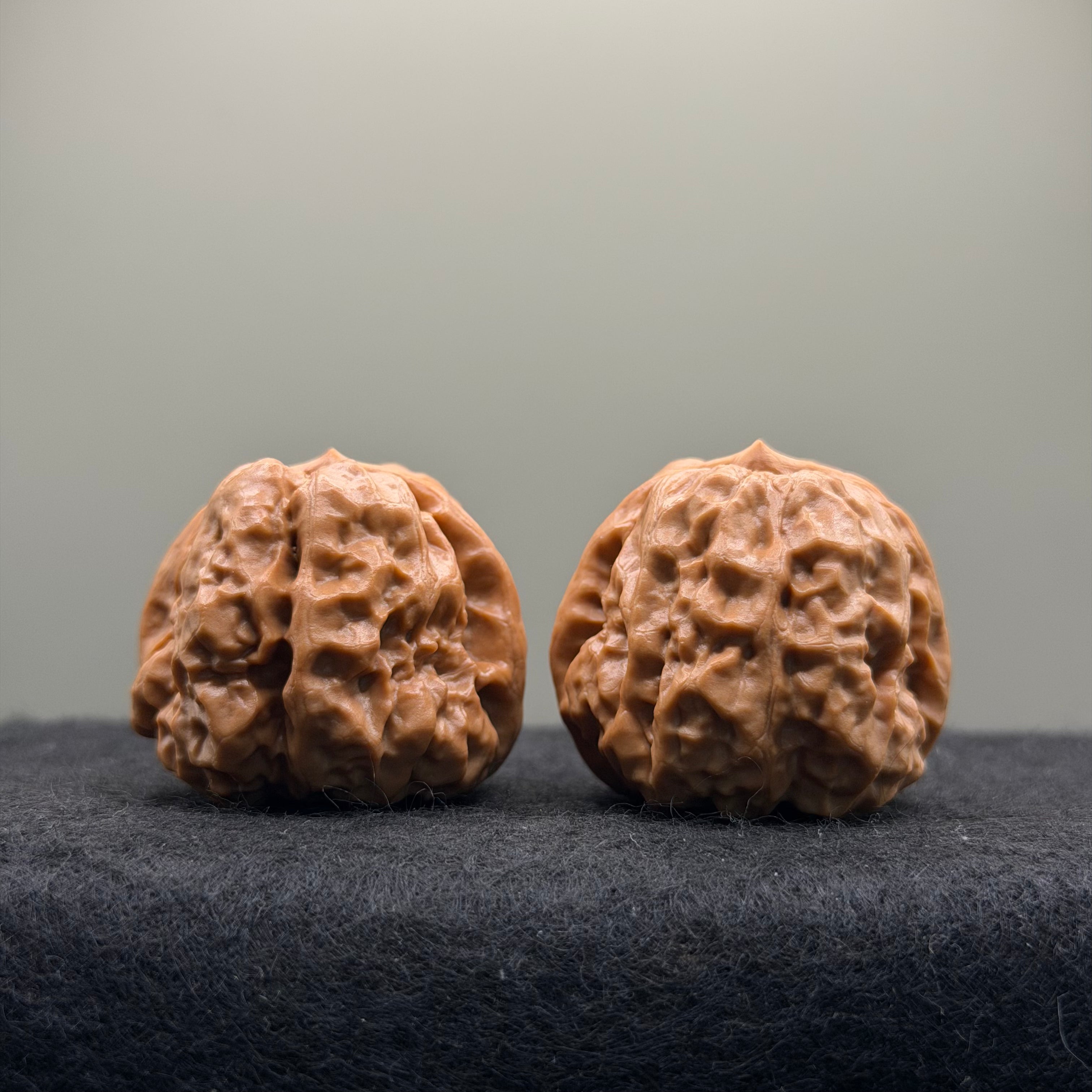 Toad Head Wenwan Walnut · 35mm · Natural · Select Ritual