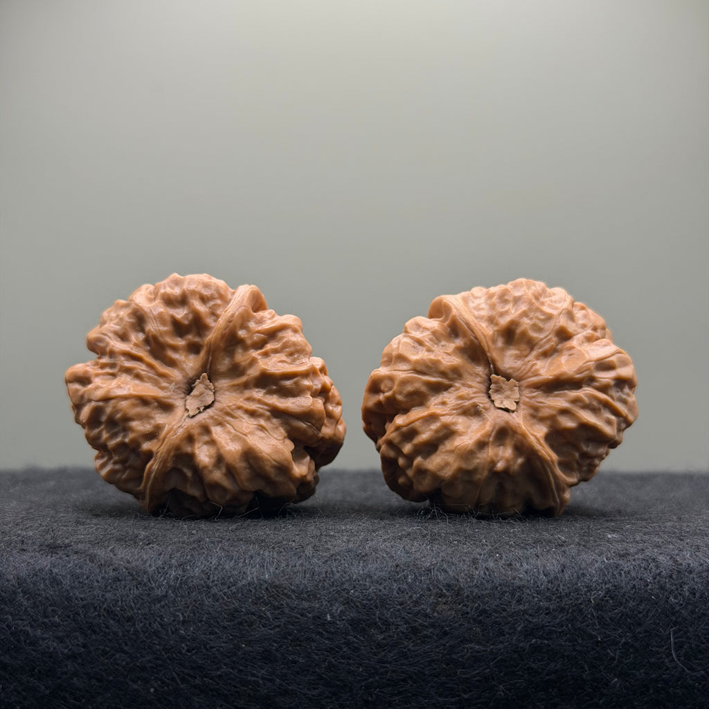 Toad Head Wenwan Walnut · 35mm · Natural · Select Ritual