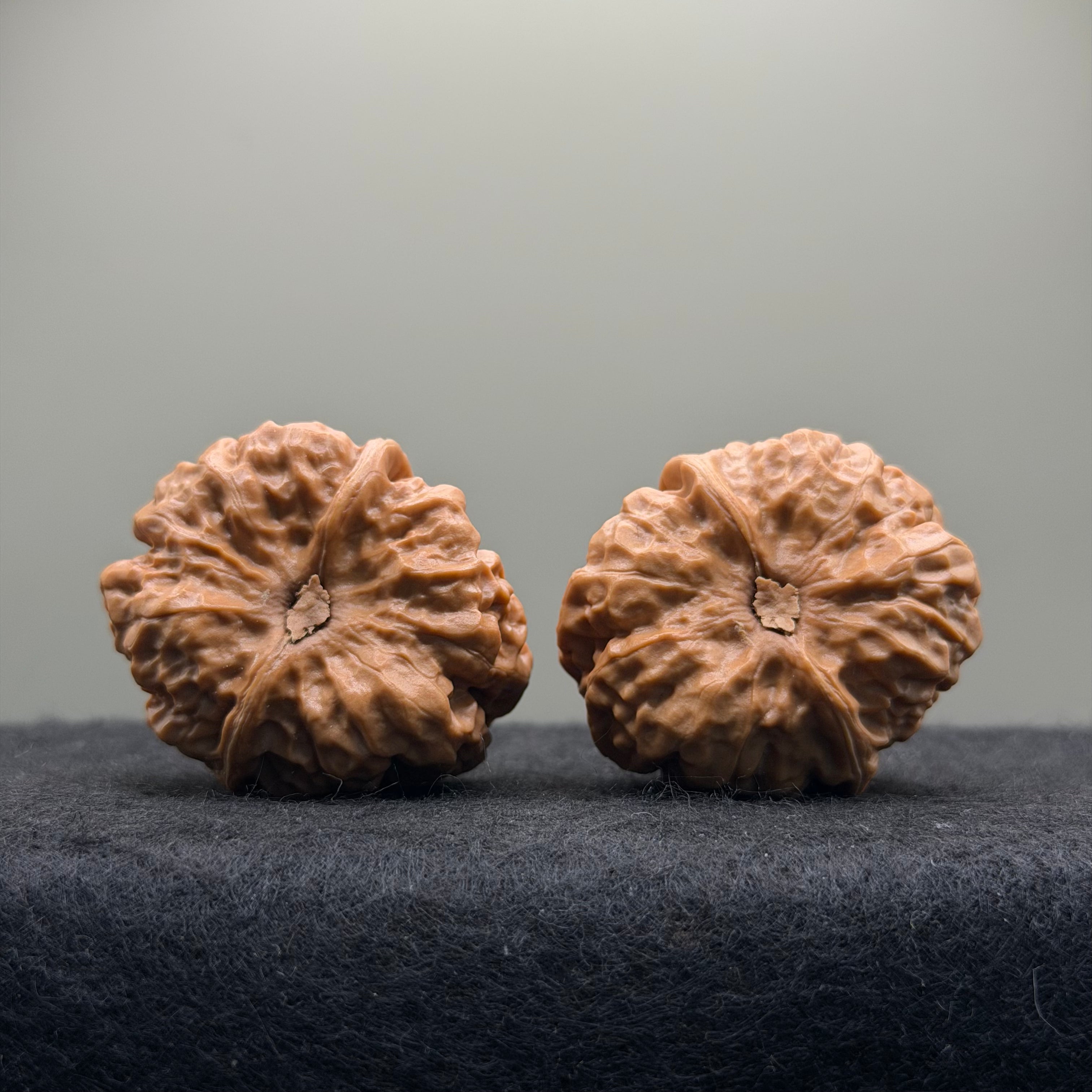 Toad Head Wenwan Walnut · 35mm · Natural · Select Ritual