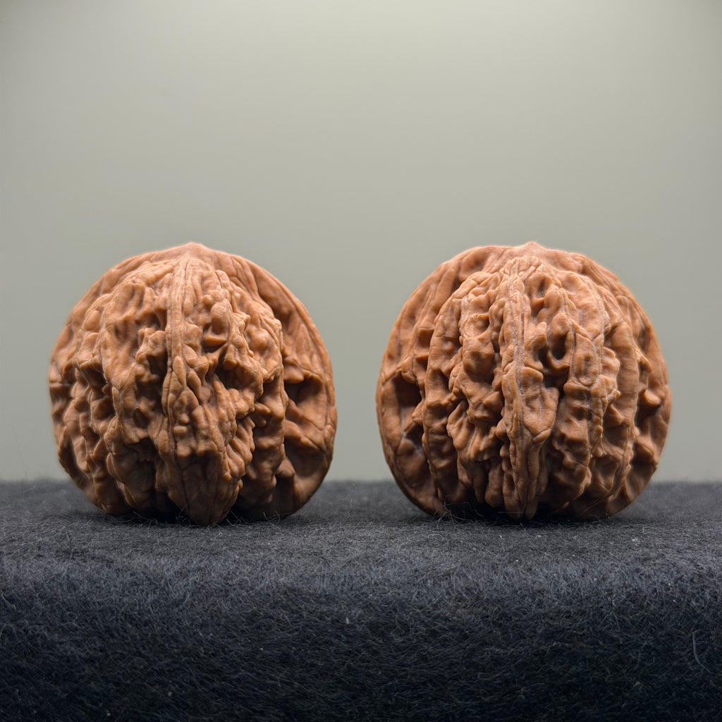 Wheat Ear Tiger Head Wenwan Walnut · 42mm · Natural · Select Ritual