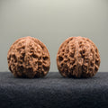 Wheat Ear Tiger Head Wenwan Walnut · 42mm · Natural · Select Ritual