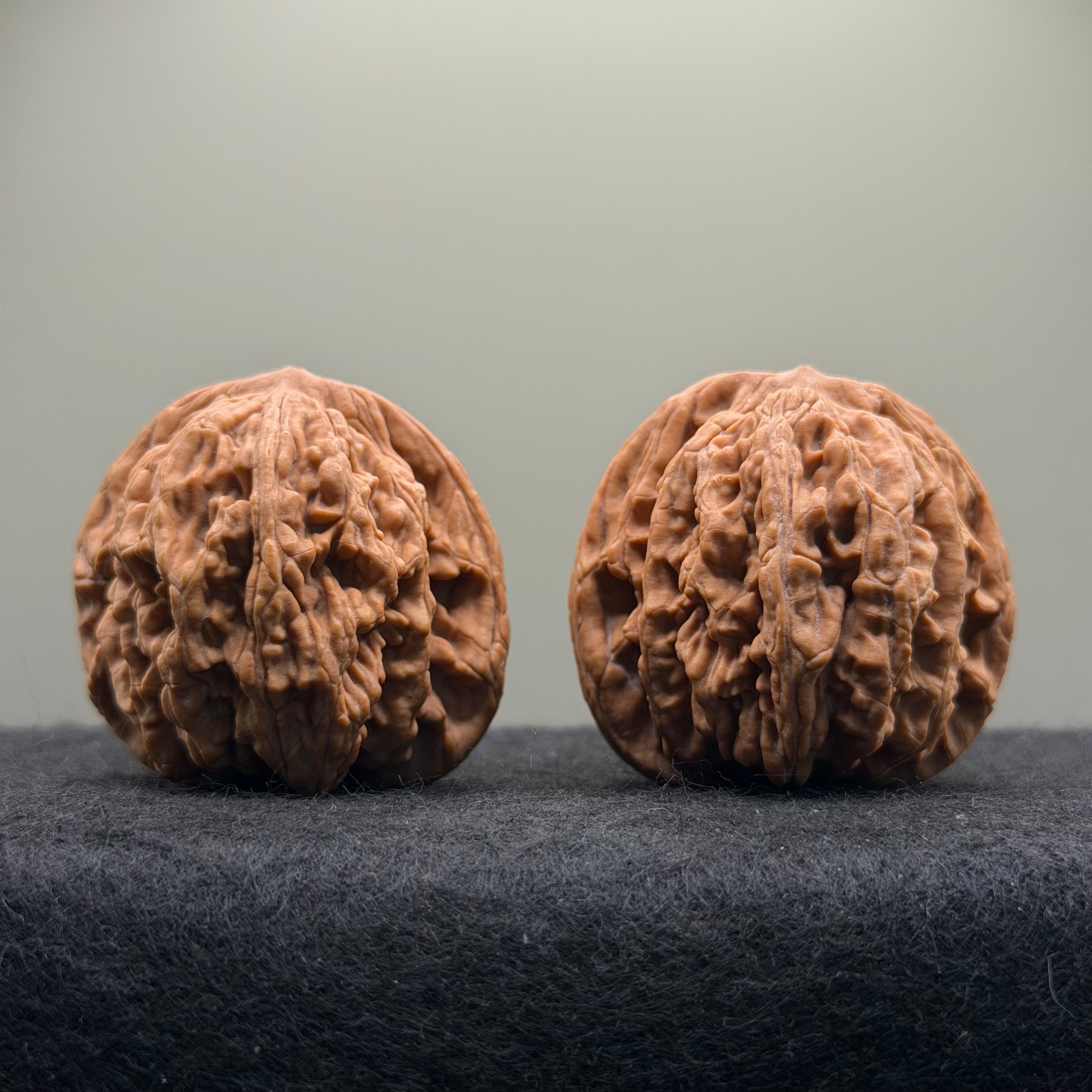Wheat Ear Tiger Head Wenwan Walnut · 42mm · Natural · Select Ritual