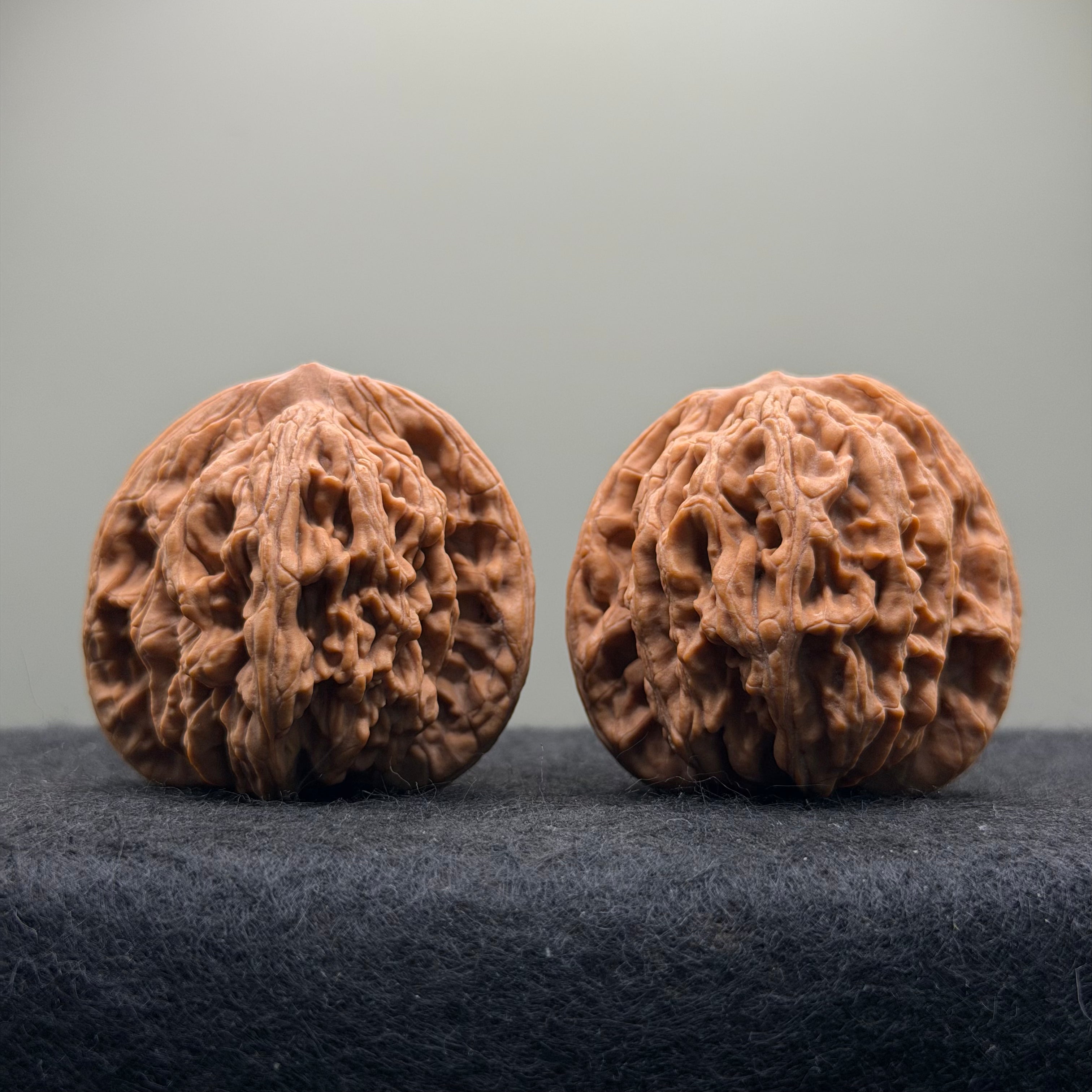 Wheat Ear Tiger Head Wenwan Walnut · 42mm · Natural · Select Ritual